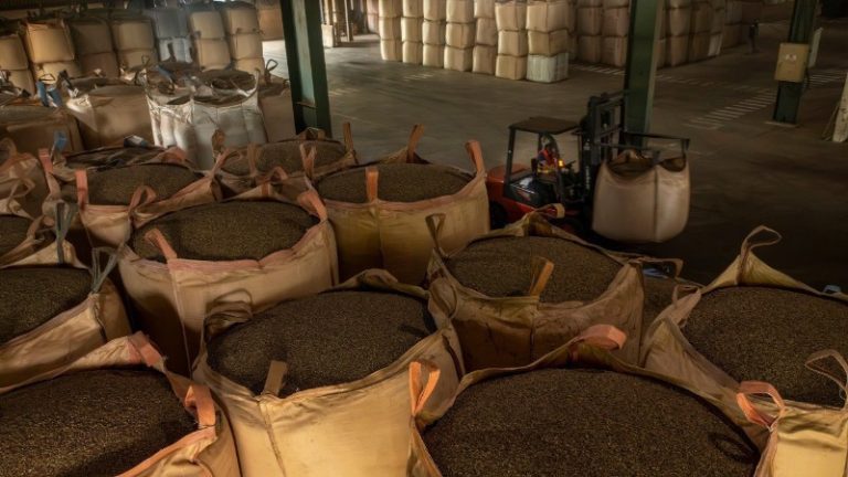 越南是泰国第二大咖啡供应市场