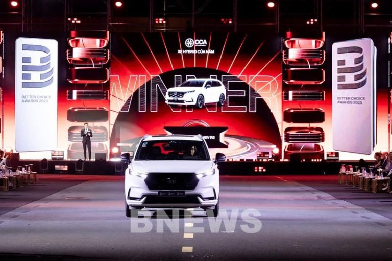 越南汽车市场步入竞争加速期，进口车型与新能源车成增长主动力